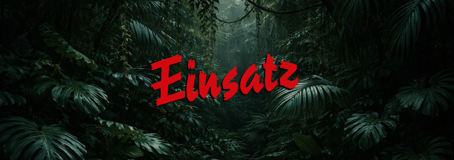 Einsatz Romane